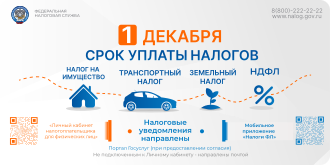 Срок уплаты имущественных налогов