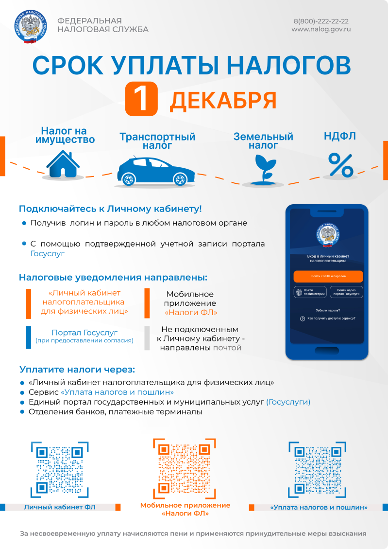 Срок уплаты имущественных налогов